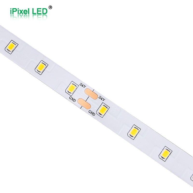 高光效2835单色LED灯带 64LEDs/M DC24V