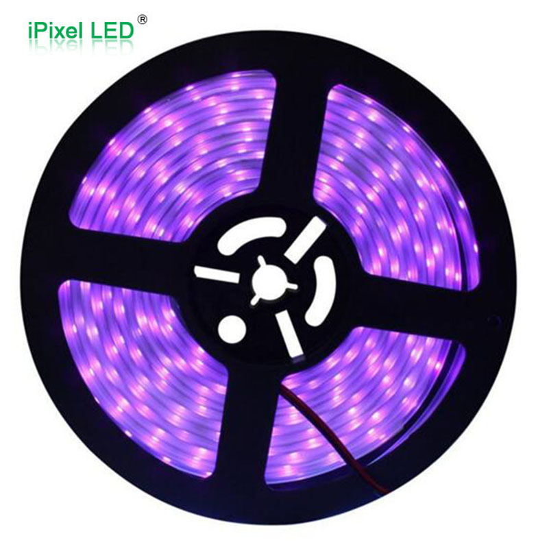 UV LED灯条 60LEDs/M 435nm DC12V