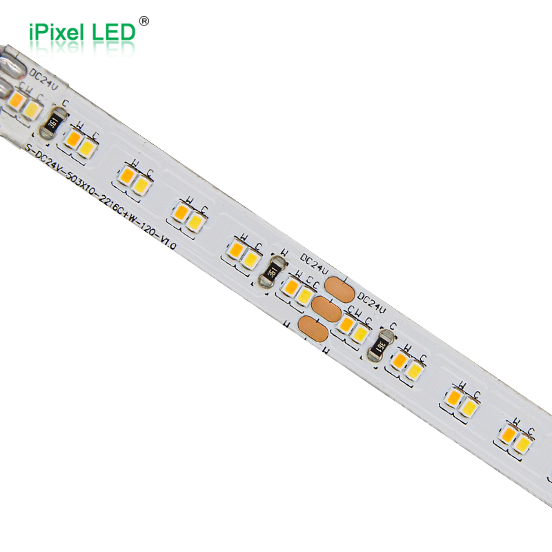 双色2216 LED灯条 240LEDs/M DC24V