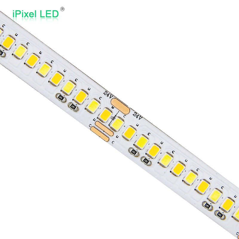 双色 12mm 2835 LED 灯带 240LEDs/M DC24V