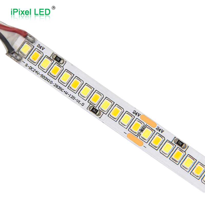 双色 10mm 2835 LED 灯带 240LEDs/M DC24V