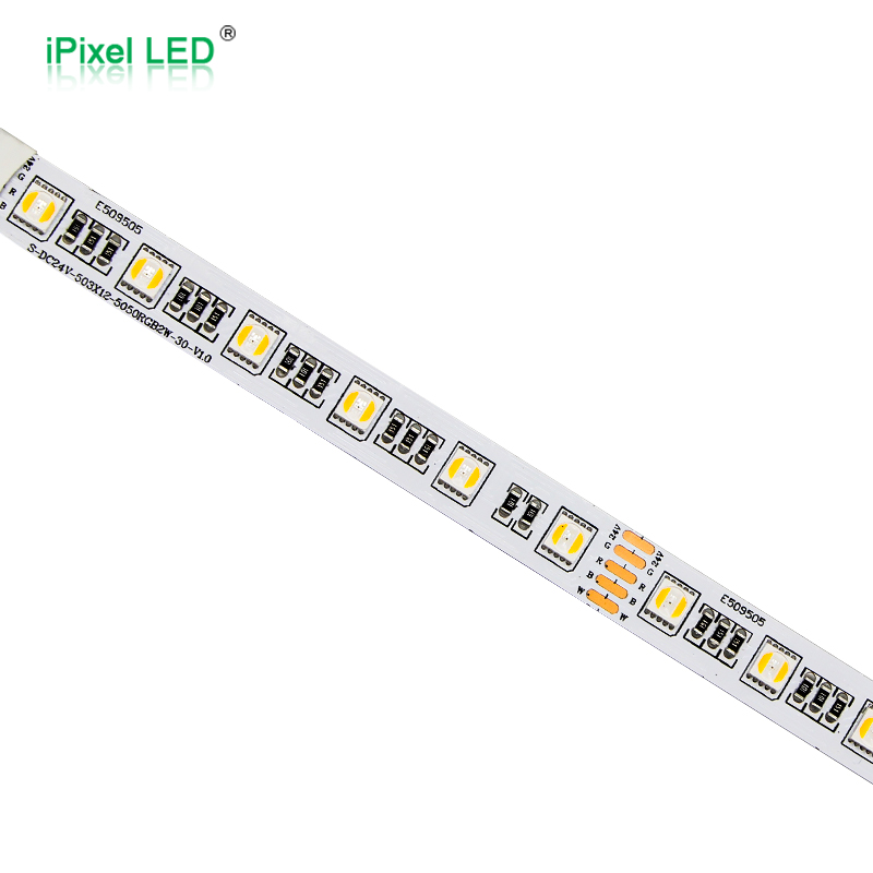 DC24V SMD5050 RGBW（两颗同白）灯条 60LEDs/M