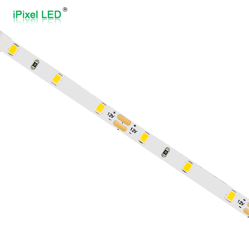 SMD2835 5mm 单色灯条 60LEDs/m DC12V/DC24V