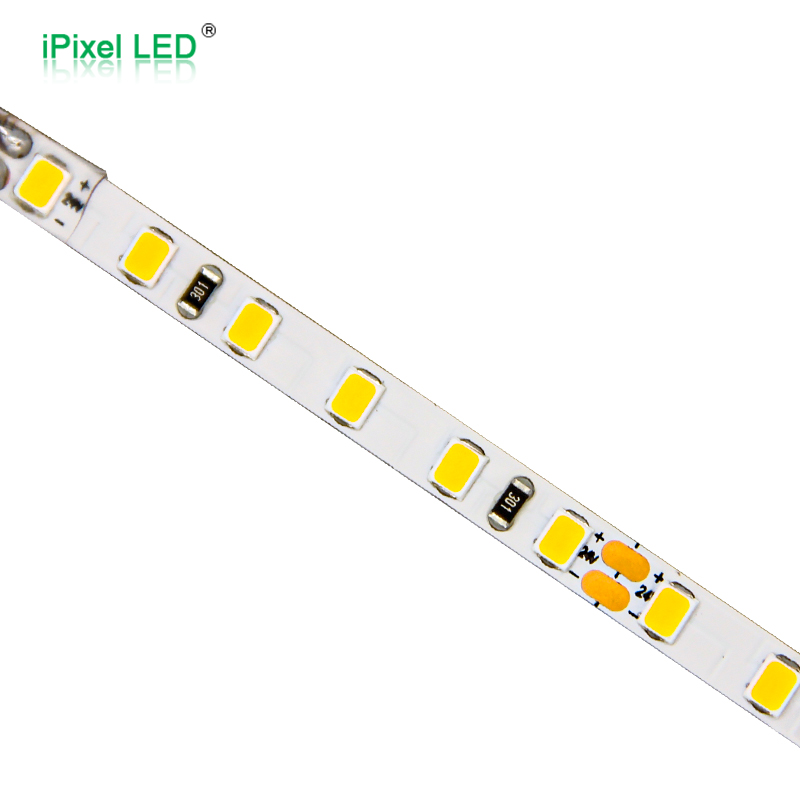 SMD2835 5mm 单色灯条 120LEDs/m DC12V/DC24V