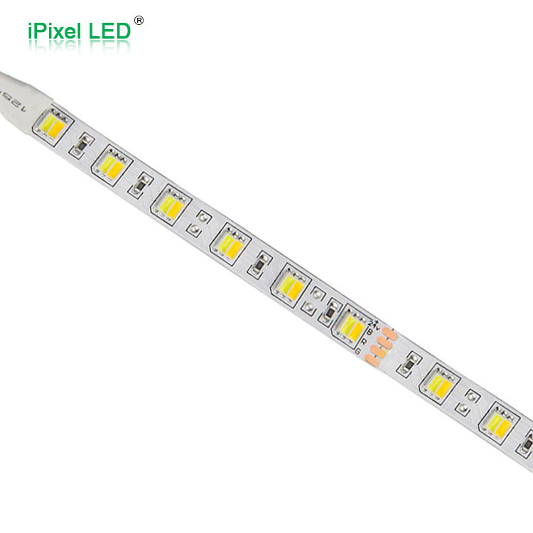 双色5050 LED灯带 60LEDs/M DC24V