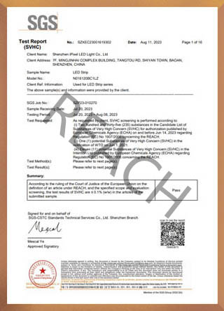 SGS检测报告REACH